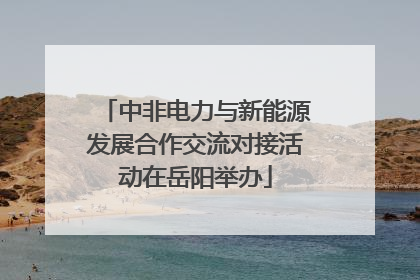 中非电力与新能源发展合作交流对接活动在岳阳举办
