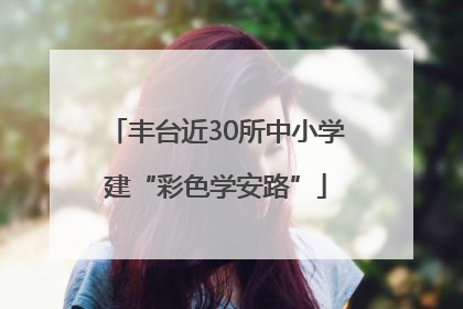 丰台近30所中小学建“彩色学安路”
