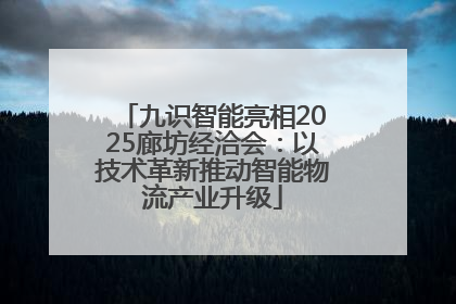 九识智能亮相2025廊坊经洽会：以技术革新推动智能物流产业升级