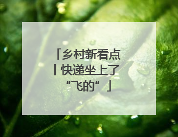 乡村新看点丨快递坐上了“飞的”