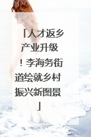 人才返乡 产业升级！李海务街道绘就乡村振兴新图景