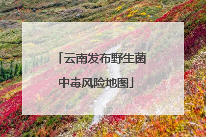 云南发布野生菌中毒风险地图