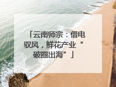 云南师宗：借电驭风，鲜花产业“破圈出海”