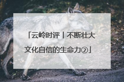 云岭时评丨不断壮大文化自信的生命力②