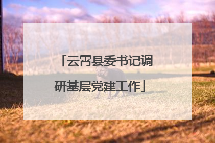 云霄县委书记调研基层党建工作