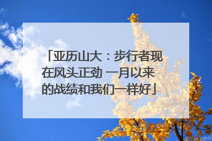 亚历山大:步行者现在风头正劲 一月以来的战绩和我们一样好