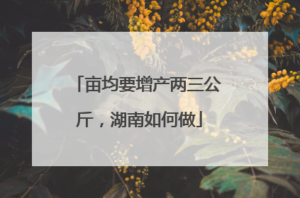 亩均要增产两三公斤，湖南如何做