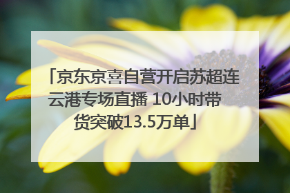 京东京喜自营开启苏超连云港专场直播 10小时带货突破13.5万单