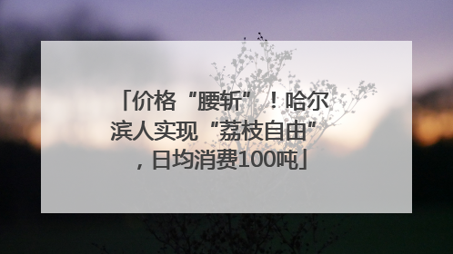 价格“腰斩”！哈尔滨人实现“荔枝自由”，日均消费100吨