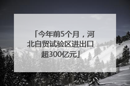今年前5个月，河北自贸试验区进出口超300亿元