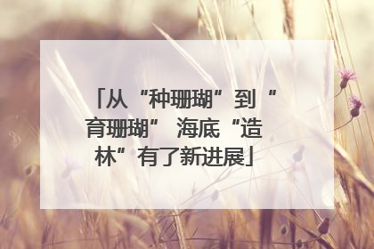 从“种珊瑚”到“育珊瑚” 海底“造林”有了新进展