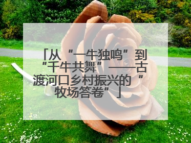 从“一牛独鸣”到“千牛共舞”——古渡河口乡村振兴的“牧场答卷”