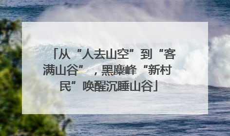 从“人去山空”到“客满山谷”，黑麋峰“新村民”唤醒沉睡山谷