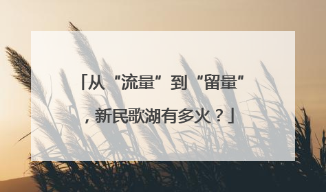 从“流量”到“留量”，新民歌湖有多火？