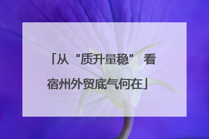 从“质升量稳” 看宿州外贸底气何在