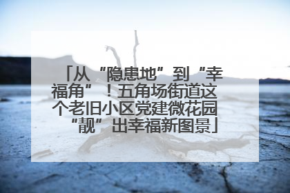 从“隐患地”到“幸福角”！五角场街道这个老旧小区党建微花园“靓”出幸福新图景