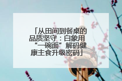 从田间到餐桌的品质坚守：白象用“一碗面”解码健康主食升级密码