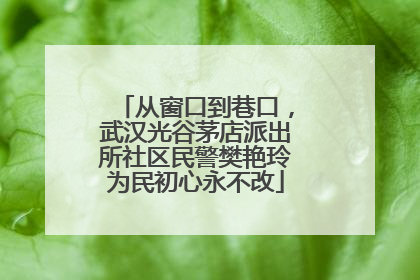 从窗口到巷口，武汉光谷茅店派出所社区民警樊艳玲为民初心永不改