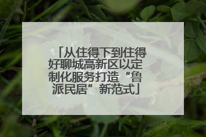 从住得下到住得好聊城高新区以定制化服务打造“鲁派民居”新范式