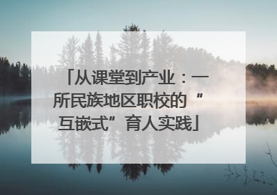 从课堂到产业：一所民族地区职校的“互嵌式”育人实践