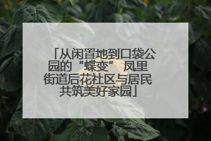 从闲置地到口袋公园的“蝶变” 凤里街道后花社区与居民共筑美好家园