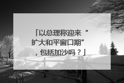 以总理称迎来“扩大和平窗口期”，包括加沙吗？