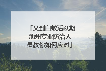 又到白蚁活跃期 池州专业防治人员教你如何应对