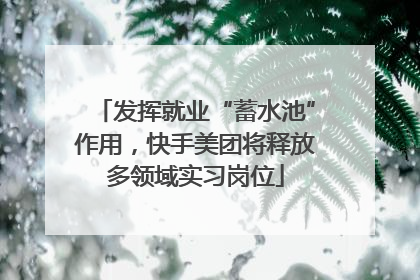 发挥就业“蓄水池”作用，快手美团将释放多领域实习岗位