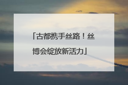 古都携手丝路！丝博会绽放新活力