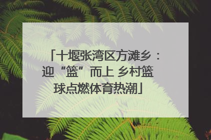 十堰张湾区方滩乡：迎“篮”而上 乡村篮球点燃体育热潮