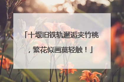 十堰旧铁轨邂逅夹竹桃，繁花似画莫轻触！