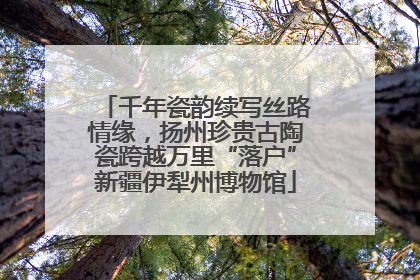 千年瓷韵续写丝路情缘，扬州珍贵古陶瓷跨越万里“落户”新疆伊犁州博物馆