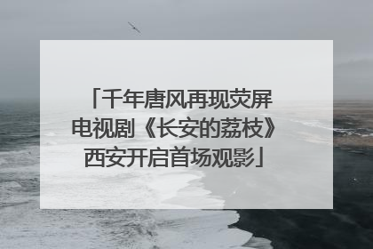 千年唐风再现荧屏 电视剧《长安的荔枝》西安开启首场观影