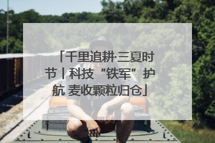 千里追耕·三夏时节丨科技“铁军”护航 麦收颗粒归仓