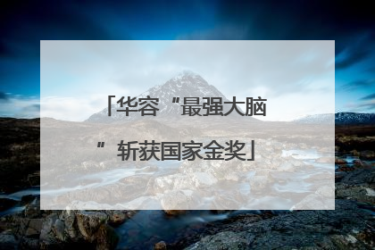 华容“最强大脑”斩获国家金奖