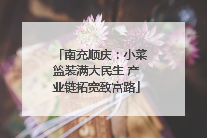 南充顺庆：小菜篮装满大民生 产业链拓宽致富路