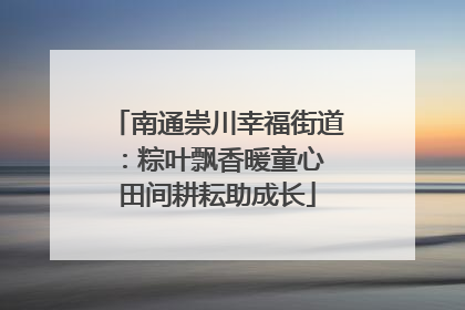 南通崇川幸福街道：粽叶飘香暖童心 田间耕耘助成长