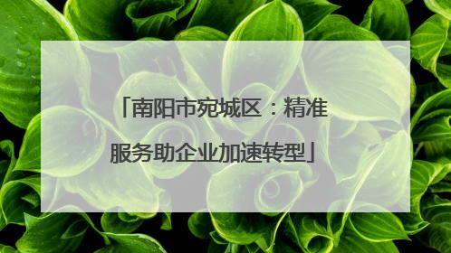 南阳市宛城区：精准服务助企业加速转型