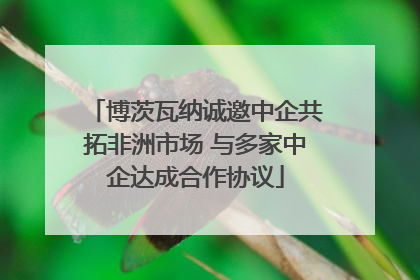 博茨瓦纳诚邀中企共拓非洲市场 与多家中企达成合作协议