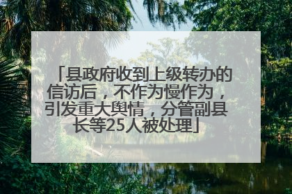 县政府收到上级转办的信访后，不作为慢作为，引发重大舆情，分管副县长等25人被处理