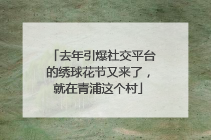 去年引爆社交平台的绣球花节又来了，就在青浦这个村