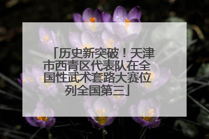 历史新突破！天津市西青区代表队在全国性武术套路大赛位列全国第三