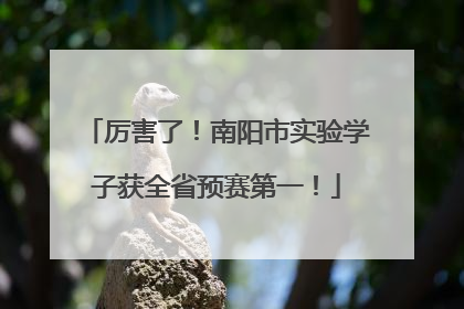 厉害了！南阳市实验学子获全省预赛第一！