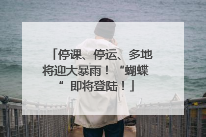 停课、停运、多地将迎大暴雨！“蝴蝶”即将登陆！