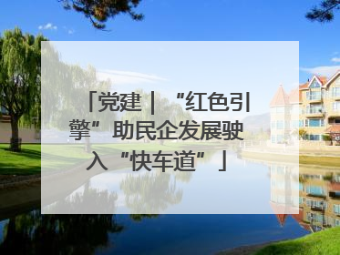 党建｜“红色引擎”助民企发展驶入“快车道”