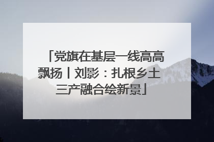 党旗在基层一线高高飘扬丨刘影：扎根乡土 三产融合绘新景