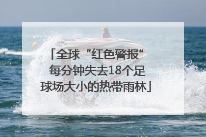 全球“红色警报”  每分钟失去18个足球场大小的热带雨林