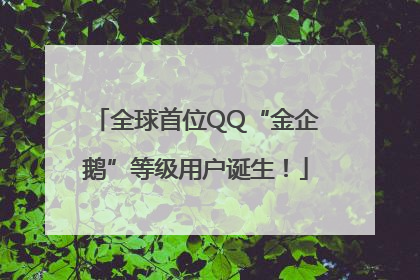 全球首位QQ“金企鹅”等级用户诞生！
