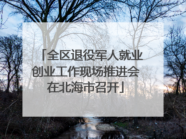 全区退役军人就业创业工作现场推进会在北海市召开