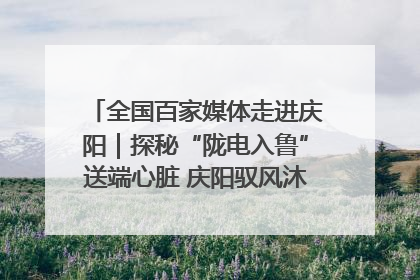 全国百家媒体走进庆阳｜探秘“陇电入鲁”送端心脏 庆阳驭风沐光点亮齐鲁万家